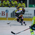 IMG_8195.jpg