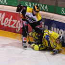 IMG_8287.jpg