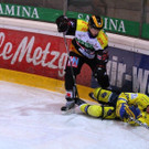 IMG_8288.jpg