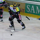 IMG_8300.jpg