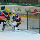IMG_8312.jpg
