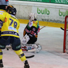 IMG_8363.jpg