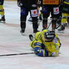 IMG_8546.jpg