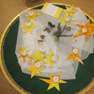 Käferlekinder machen sich auf die Suche nach dem allerkleinsten Tannenbaum