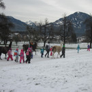 kl tannenbaum 027_JPG-1388089206.jpg