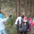 kl tannenbaum 050_JPG-1388089709.jpg