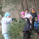 kl tannenbaum 051_JPG-1388089730.jpg
