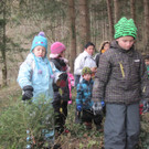 kl tannenbaum 052_JPG-1388089758.jpg