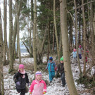 kl tannenbaum 055_JPG-1388089843.jpg