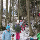 kl tannenbaum 056_JPG-1388089872.jpg