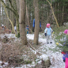 kl tannenbaum 059_JPG-1388089928.jpg