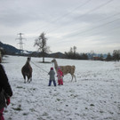 kl tannenbaum 074_JPG-1388090297.jpg