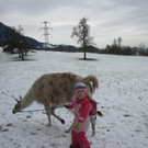 kl tannenbaum 076_JPG-1388090350.jpg
