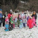 kl tannenbaum 097_JPG-1388090883.jpg