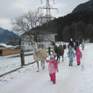 kl tannenbaum 112_JPG-1388091272.jpg