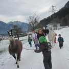 kl tannenbaum 115_JPG-1388091344.jpg
