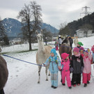 kl tannenbaum 117_JPG-1388091401.jpg