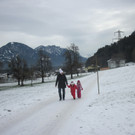 kl tannenbaum 122_JPG-1388091525.jpg