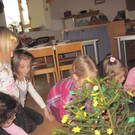 kl tannenbaum 149_JPG-1388092141.jpg