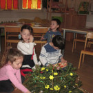 kl tannenbaum 151_JPG-1388092197.jpg