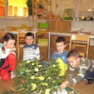 kl tannenbaum 152_JPG-1388092229.jpg