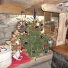 DSC00319.JPG