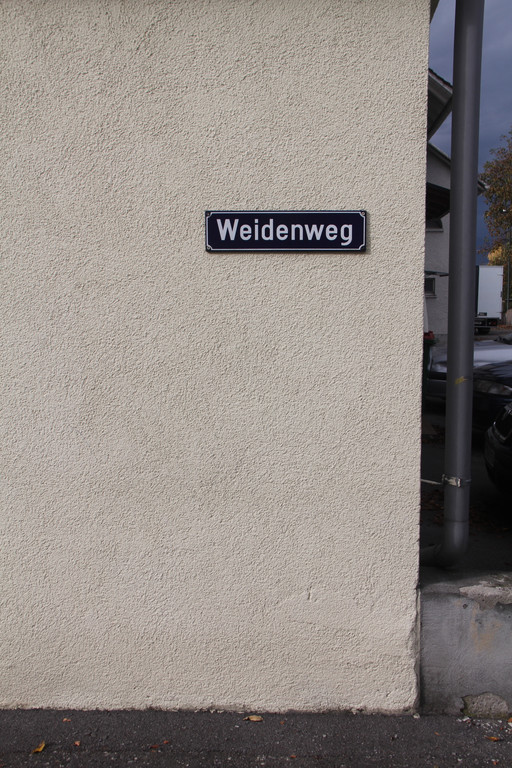Weidenweg_1.jpg