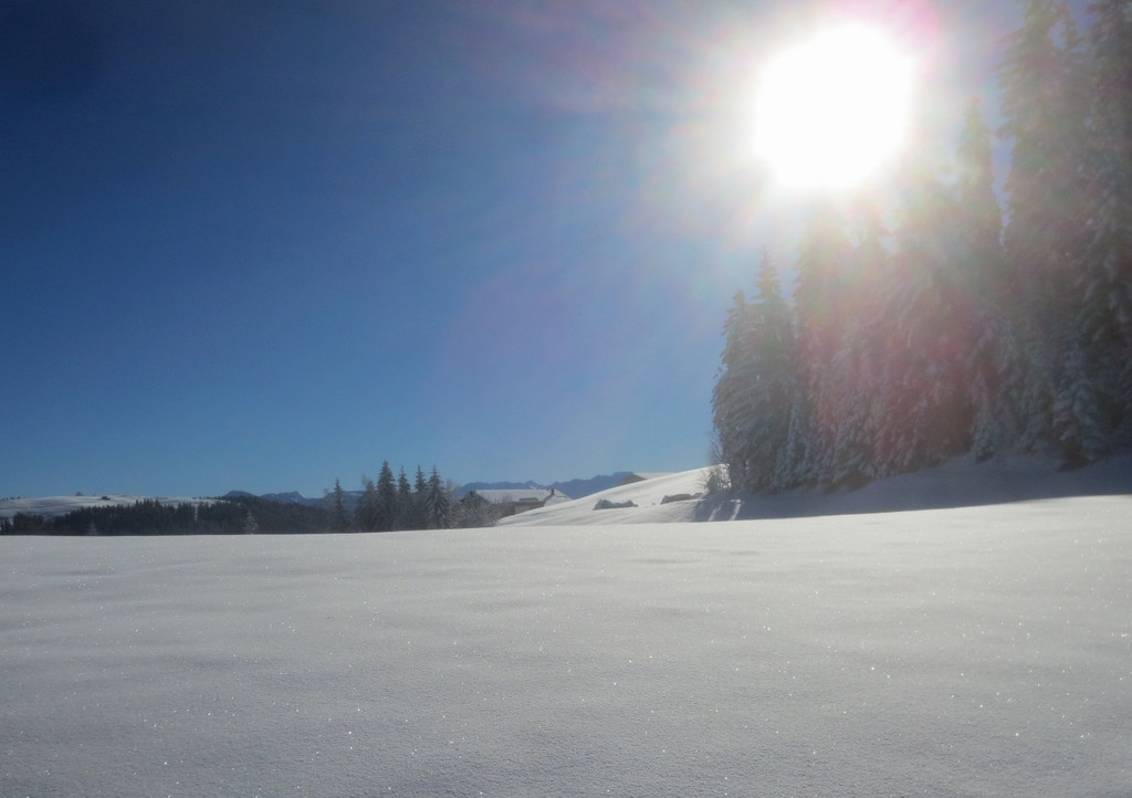 Winter Wandern Pf__nder-Tr__gen 27-12-2013 _1_.jpg