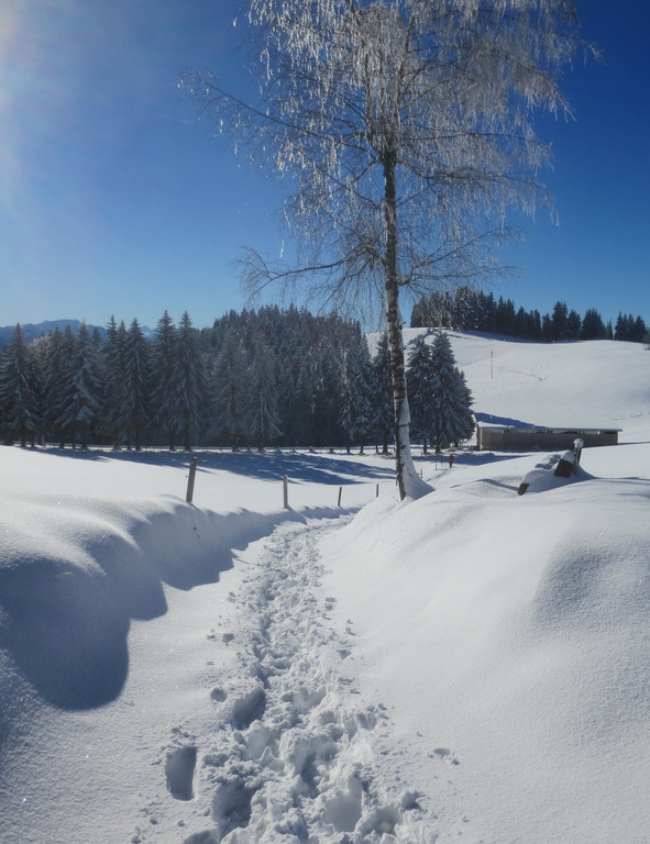 Winter Wandern Pf__nder-Tr__gen 27-12-2013 _3_.jpg