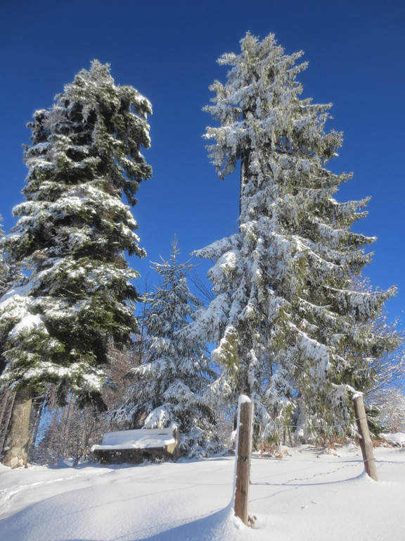 Winter Wandern Pf__nder-Tr__gen 27-12-2013 _4_.jpg