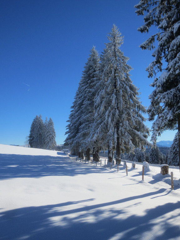 Winter Wandern Pf__nder-Tr__gen 27-12-2013 _6_.jpg