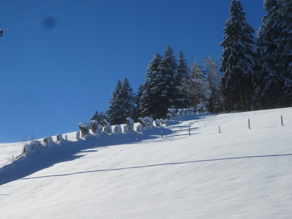 Winter Wandern Pf__nder-Tr__gen 27-12-2013 _7_.jpg