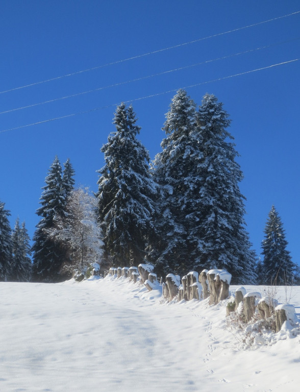 Winter Wandern Pf__nder-Tr__gen 27-12-2013 _8_.jpg