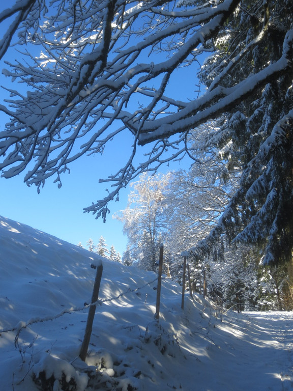 Winter Wandern Pf__nder-Tr__gen 27-12-2013 _10_.jpg