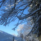 Winter Wandern Pf__nder-Tr__gen 27-12-2013 _10_.jpg