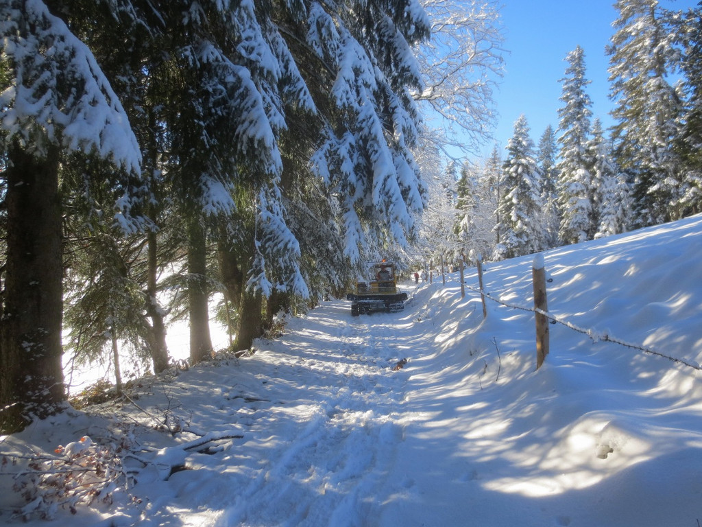 Winter Wandern Pf__nder-Tr__gen 27-12-2013 _11_.jpg