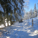 Winter Wandern Pf__nder-Tr__gen 27-12-2013 _11_.jpg