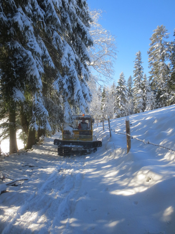 Winter Wandern Pf__nder-Tr__gen 27-12-2013 _12_.jpg