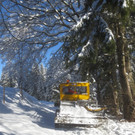 Winter Wandern Pf__nder-Tr__gen 27-12-2013 _17_.jpg