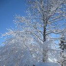 Winter Wandern Pf__nder-Tr__gen 27-12-2013 _18_.jpg