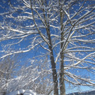 Winter Wandern Pf__nder-Tr__gen 27-12-2013 _19_.jpg