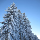 Winter Wandern Pf__nder-Tr__gen 27-12-2013 _20_.jpg