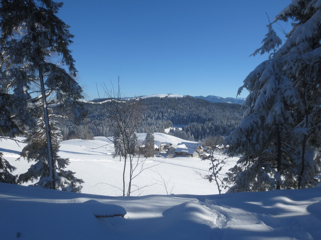 Winter Wandern Pf__nder-Tr__gen 27-12-2013 _21_.jpg