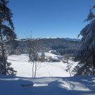 Winter Wandern Pf__nder-Tr__gen 27-12-2013 _21_.jpg