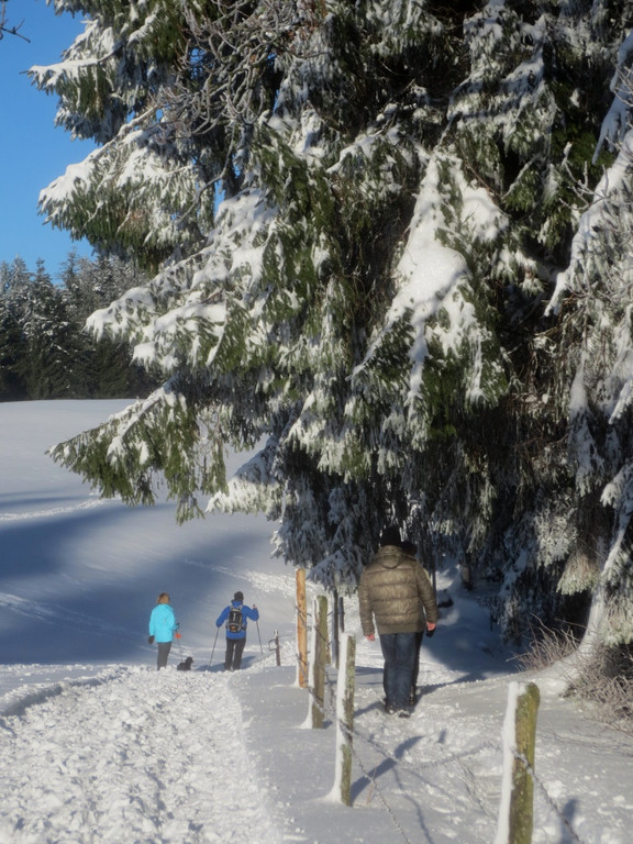 Winter Wandern Pf__nder-Tr__gen 27-12-2013 _39_.jpg