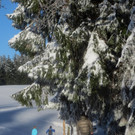 Winter Wandern Pf__nder-Tr__gen 27-12-2013 _39_.jpg