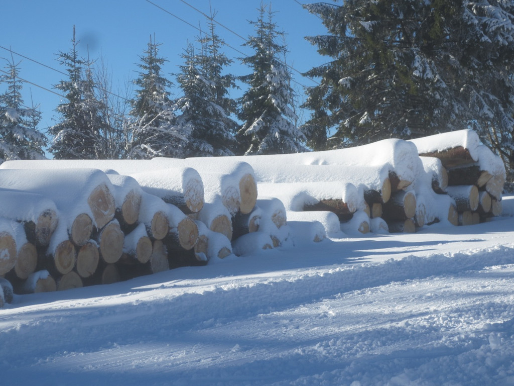 Winter Wandern Pf__nder-Tr__gen 27-12-2013 _24_.jpg