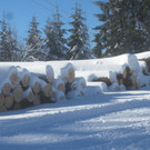 Winter Wandern Pf__nder-Tr__gen 27-12-2013 _24_.jpg