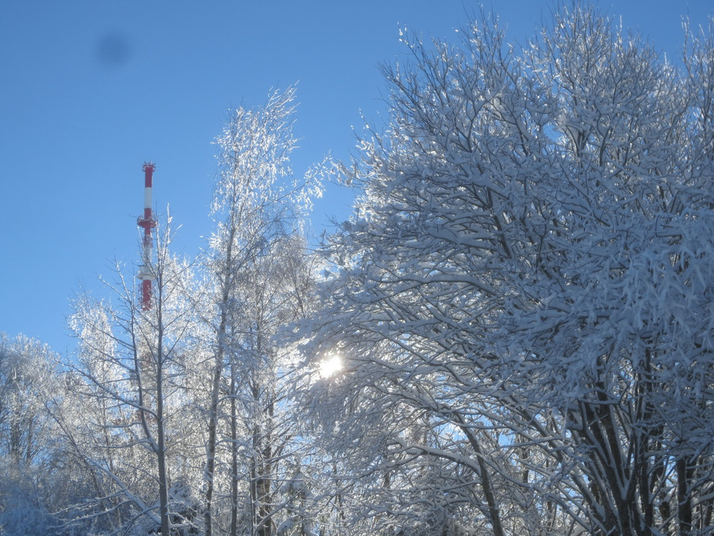 Winter Wandern Pf__nder-Tr__gen 27-12-2013 _27_.jpg