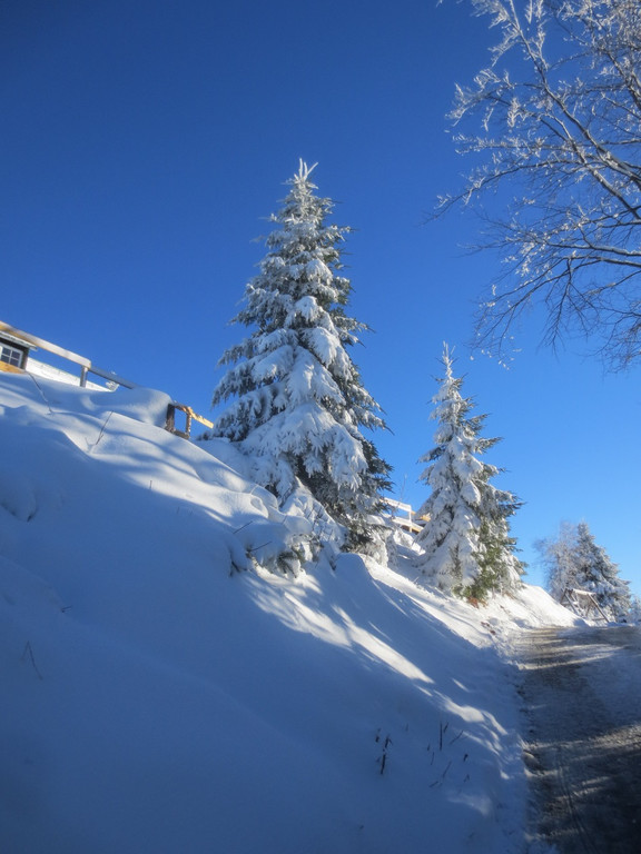 Winter Wandern Pf__nder-Tr__gen 27-12-2013 _30_.jpg